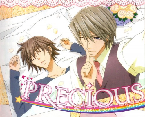 Junjou Romantica 3 wallpaper 500x405